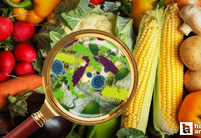 Amerika'da ölümcül hastalık paniği: Listeria virüsü 9 can aldı