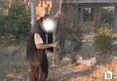 Ankara'da bir adam yavru köpeği vahşice katletti