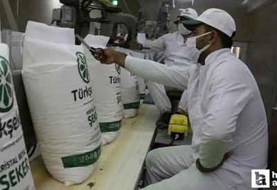 Türkşeker 1350 işçi alımı: Başvuru şartları ve kadro dağılımı