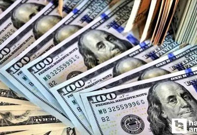 17.002 TL olarak açıklanan asgari ücret dolar karşısında 2.708 lira değer kaybetti