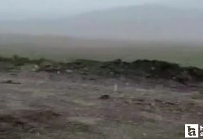 Ankara'da mevsimin ilk karı göründü!