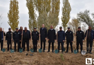 Ankara Evren'de fidanlar hatıra ormanında toprakla buluşturuldu