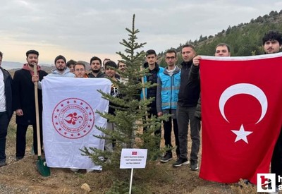 Ankara Nallıhan'da Milli Ağaçlandırma Gününde 500 fidan toprakla buluşturuldu