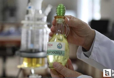 Tarımsal Araştırma Enstitüsü kenevir tohumundan biyodizel üretti
