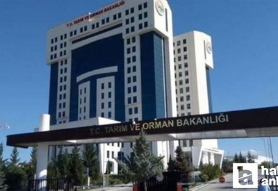 Tarım ve Orman Bakanlığı sürekli işçi alım başvuruları devam ediyor