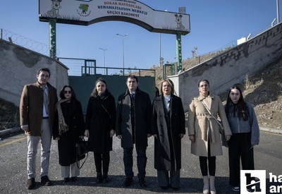 Ankara 2'Nolu Baro üyeleri Mamak hayvan barınağını ziyaret etti