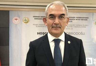 2024'te 96 bin hektarlık alan ağaçlandırıldı