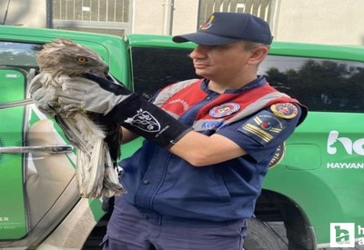 Çorum'da jandarmadan kaçak avcılara engel