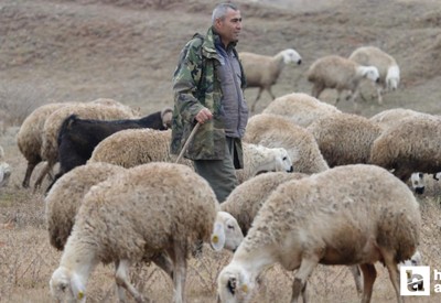 İstanbul'dan kaçtı huzuru köyünde buldu: Şehir hayatı açık cezaevi gibi