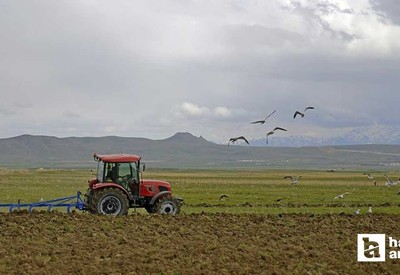 Eskişehir'de çiftçiye destek ödemesi