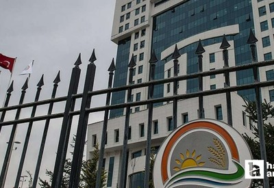 Etil alkol ve metanol üretimine yönelik düzenleme