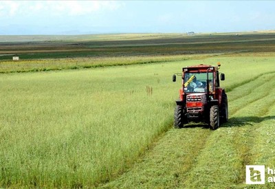TÜİK Kasım ayı Tarımsal girdi fiyat endeksinde artış