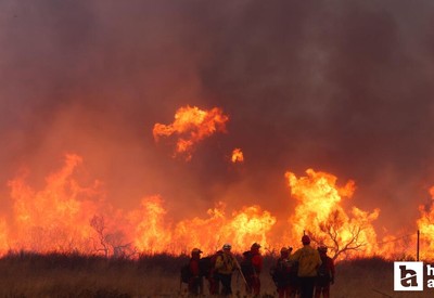 Trump ziyaret edecekti! Los Angeles'ta yeni yangın çıktı