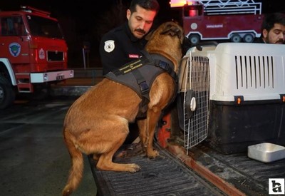Kırıkkale’den 2 hassas burunlu köpek Konya’daki arama çalışmaları için bölgeye sevk edildi