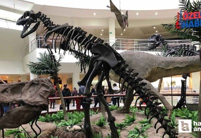 Girişler ücretsiz! Ankara'da 7'den 70'e herkesin görmesi gereken dinozorlu müze