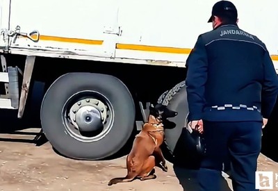 Kırıkkale’de jandarma ekipleri 1 tonun üzerine kaçak tütün ele geçirdi