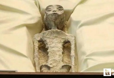 Peru'da bulunan uzaylı mumyası hakkında yeni iddia! Hamile olabilir mi?