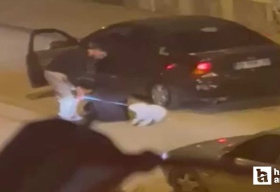 Ankara Polatlı'da bir kadını darp etti, köpeği tekmeledi!