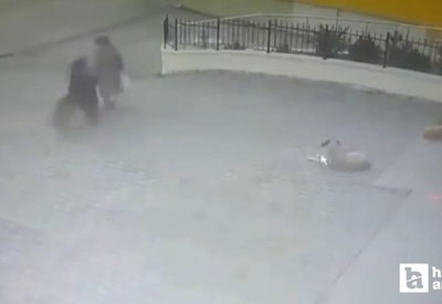 Mamak'ta köpek 73 yaşındaki kadına saldırdı
