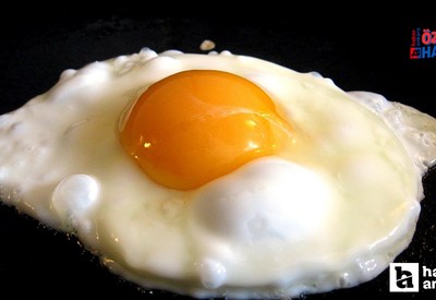 Yumurta yemek zararlı mı faydalı mı? İşte bilinmeyen gerçek