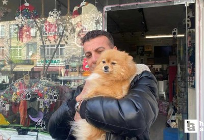 Çankaya'da çalınan köpek sahibine teslim edildi