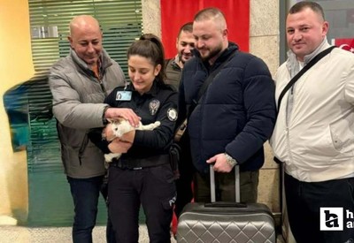 Esenboğa Havalimanı’nda araçta kilitli bırakılan kedi kurtarıldı