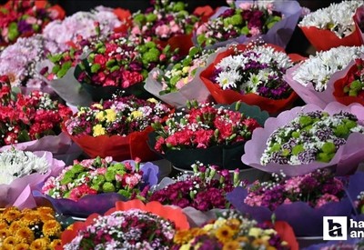 Sevgililer Günü öncesi fiyatı açıklandı: Ankara'da kırmızı gülün tanesi 300 TL oldu!