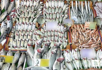 Başkentten diğer il ve ülkelere günlük 3 ton balık gönderiliyor