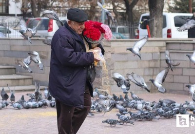 Hamamönü'nde 20 yıldır çiçek hediye ediyor