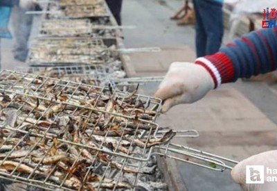 Ankaralıları hamsiye doyuracak festival geliyor! 1 ton hamsi bedava dağıtılacak