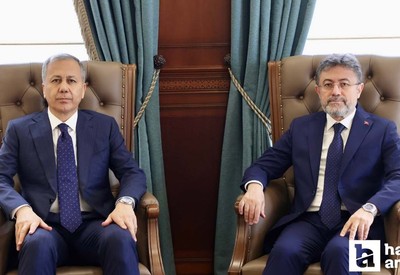 İki bakanlık başıboş sokak köpeği sorununun çözümü için harekete geçtiler