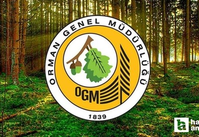 OGM 3 bin 477 sözleşmeli destek personeli alıyor! OGM  personel alımı kadroları ve başvuru tarihleri