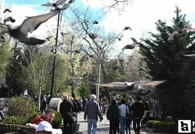 Ankaralılar bayramda park ve bahçelere akın etti