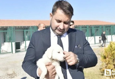 Kahramankazan Belediyesi sokak hayvanlarını unutmadı!
