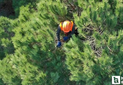 OGM işçi alım kura sonuçları: İl il OGM kura sonuç listeleri