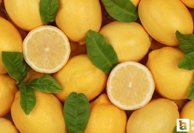 Ticaret Bakanlığı limon ihracatını geçici olarak durdurdu