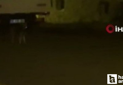 Ankara'da aç kalan yaban hayvanları şehir merkezine indiler