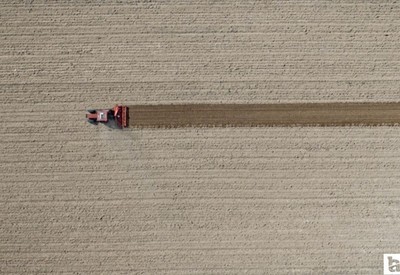 Tarım ÜFE Martta yüzde 6,91 artış gösterdi