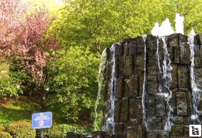 Dikmen Vadisi'nde sakura güzelliği: Vatandaşlar akın etti