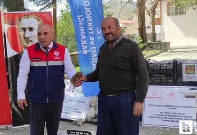 Çorum'da çiftçilere 140 bin çilek fidesi ücretsiz dağıtıldı