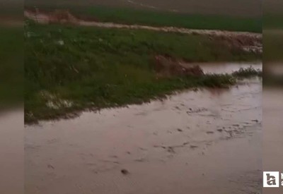 Haymana'da bir araç sel sularının ortasında mahsur kaldı