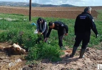 Kırıkkale'de bataklığa saplanan ineği itfaiye ekipleri kurtardı