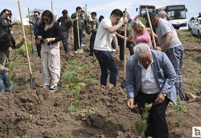 Şiddete uğrayan kadınların anısına AOÇ'de 2 bin fidan dikimi yapıldı