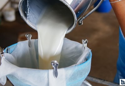 Türkiye'nin bu yıl çiğ süt ihracatında 700 milyon dolar ulaşması bekleniyor