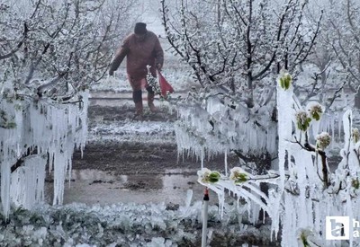 Zirai Don Meclis Araştırma Komisyonu ilk toplantısını 14 Mayıs'ta yapacak
