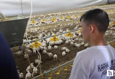 Gölbaşılı öğrenciler Beypazarı'nda tarım ve hayvancılık tesislerini gezdiler