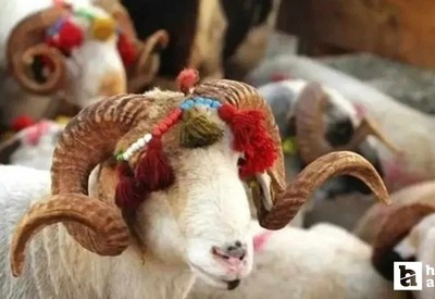 Kurban Bayramı tatili 9 gün olur mu? Karar için tarih belli oldu