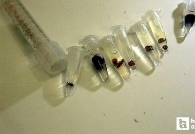Kabus geri döndü! Havalar ısındı, vakalar yeniden hortladı mutlaka dikkat edin