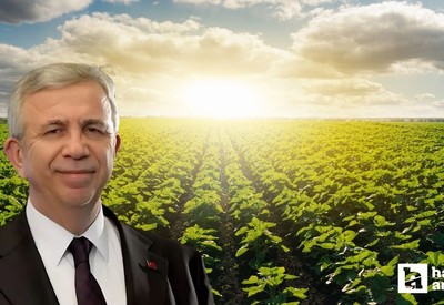 Mansur Yavaş zirai don mağduru çiftçilere destek sağlayacaklarını duyurdu
