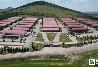 Altındağ Belediyesi, Kurban Bayramı hazırlıklarını tamamladı